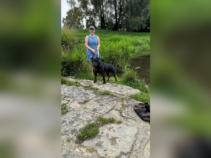 AXEL - Terrier-Mix sucht sein für immer zuhause