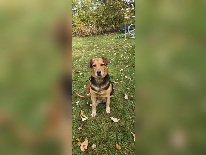 Katja sucht ein neues Zuhause Katja sucht ein neues Zuhause