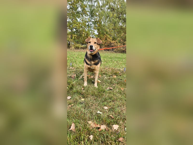 Katja sucht ein neues Zuhause Katja sucht ein neues Zuhause