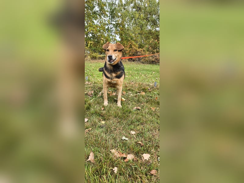 Katja sucht ein neues Zuhause Katja sucht ein neues Zuhause