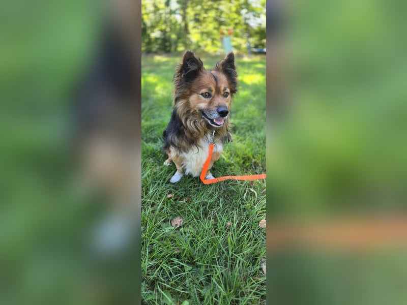 Lenny sucht ein neues Zuhause