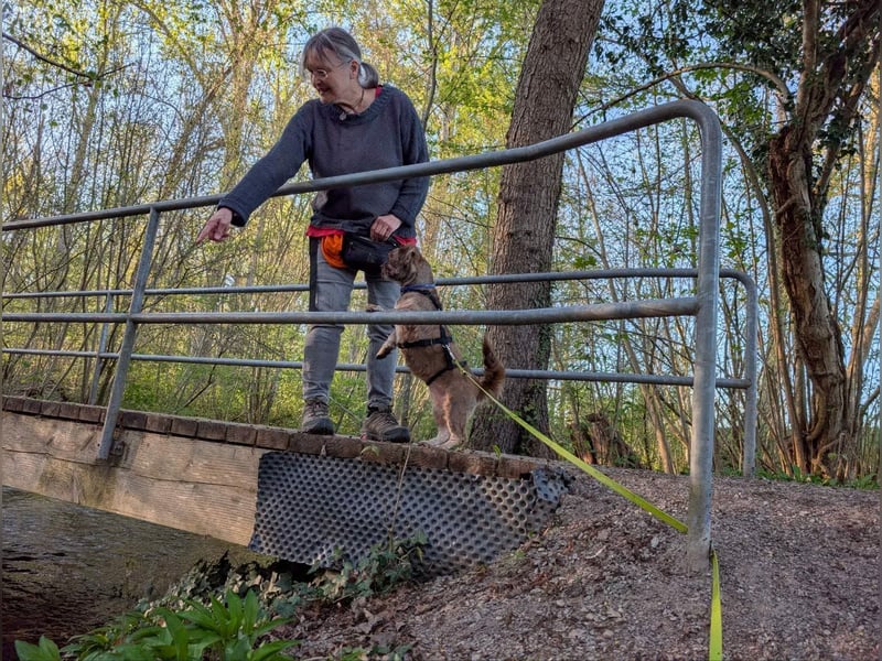 Maja, klein, schnuckelig sucht ihre Menschen