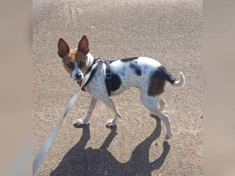 Lulú sucht ihr Zuhause für immer