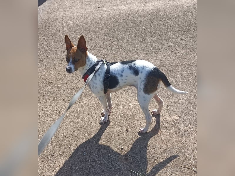 Lulú sucht ihr Zuhause für immer