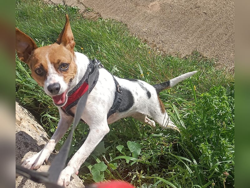 Lulú sucht ihr Zuhause für immer