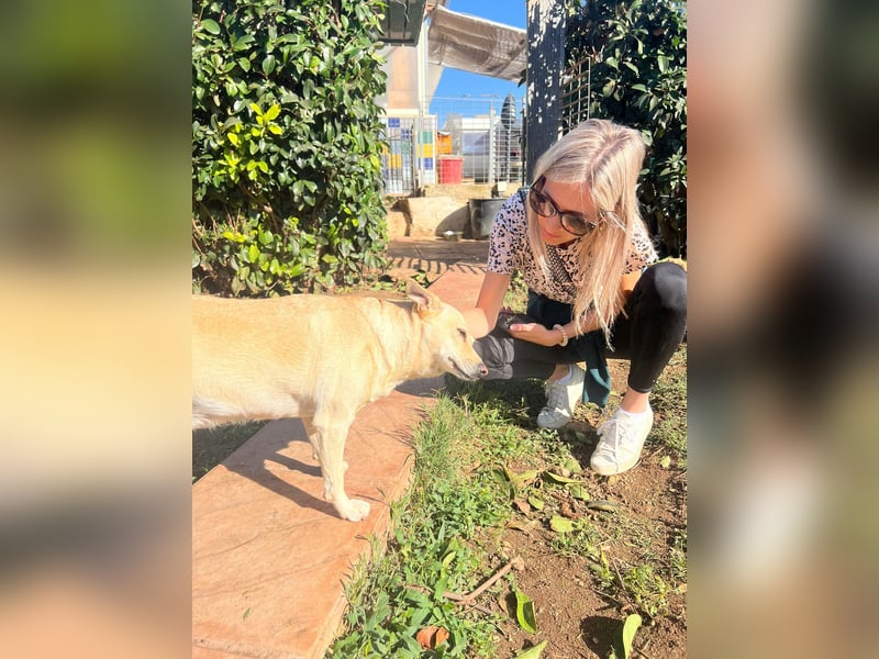 sanfte Frieda sucht nach ihrem glücklichen Zuhause