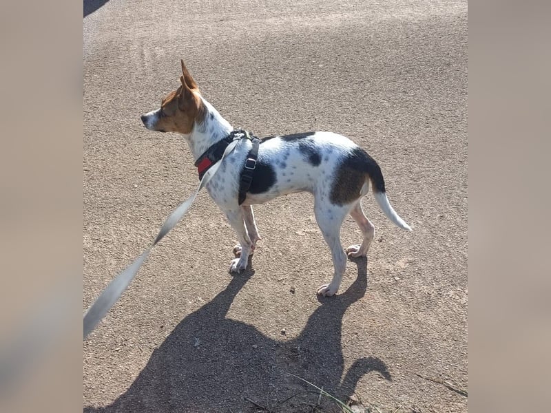 Lulú sucht ihr Zuhause für immer