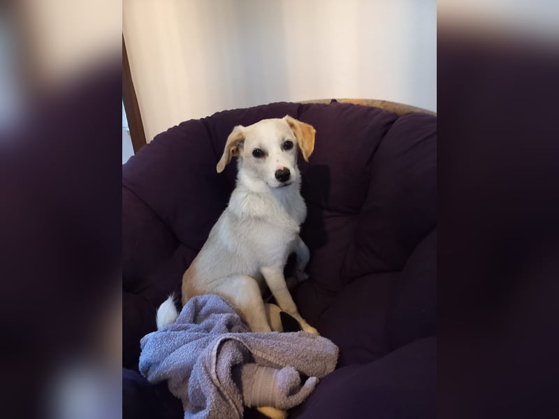 Polly - bereit was zu erleben!