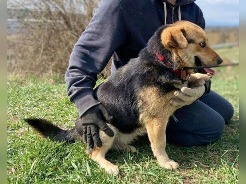 NESSY hofft so sehr auf einen Neuanfang