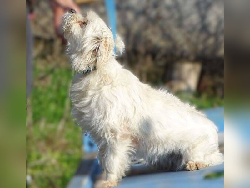 MIMMI die kleine hat große Angst