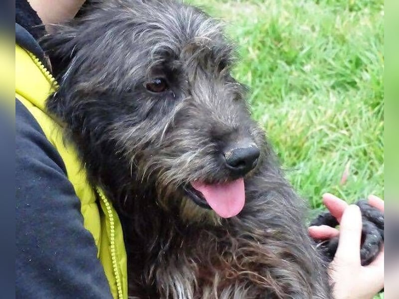 RONNIE fürchtet um sein Leben