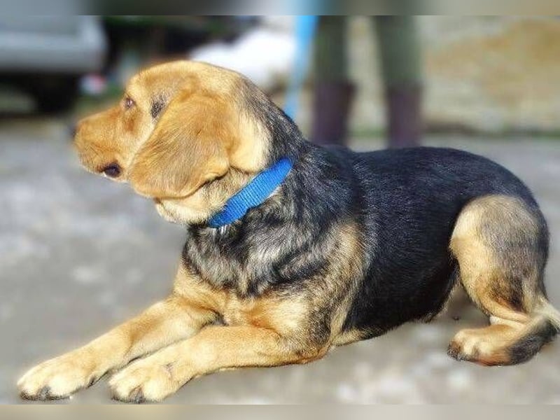 NICKY ist eine absolute Bereicherung