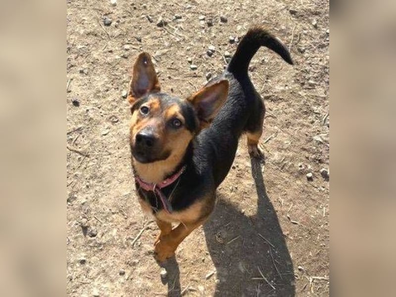 EMILY hatte ein entbehrungsreiches Leben