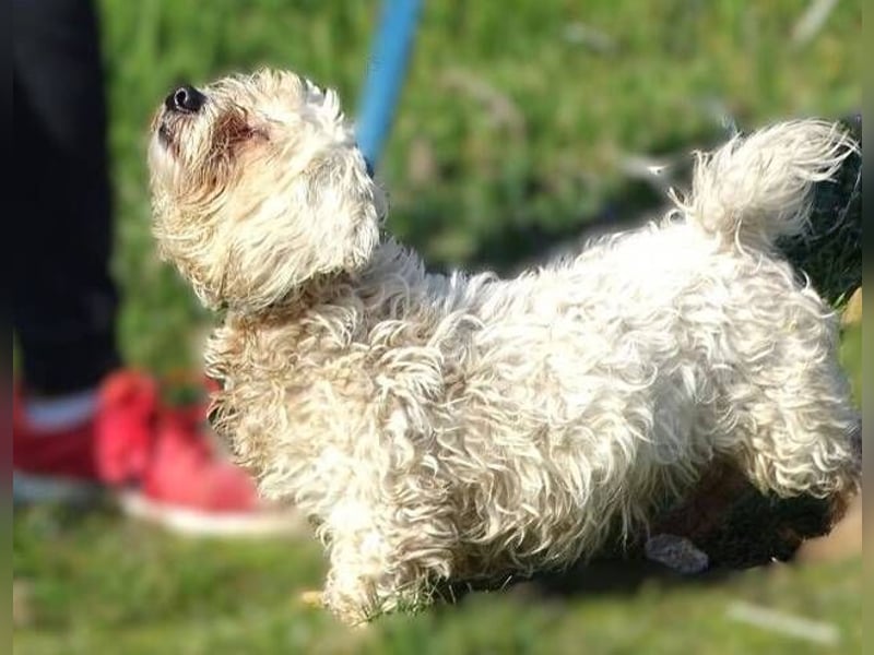 MIKE , wer hilft uns den kleinen zu retten?