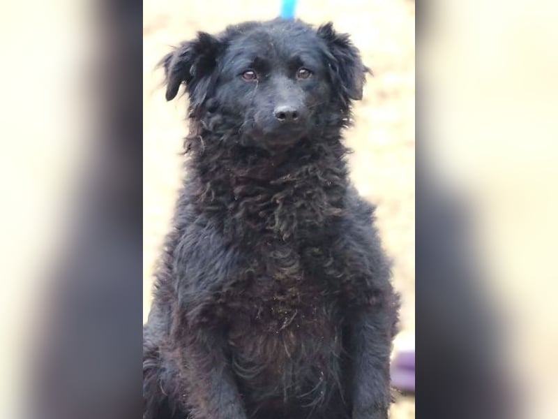 ZARA 2 zittert um ihr Leben