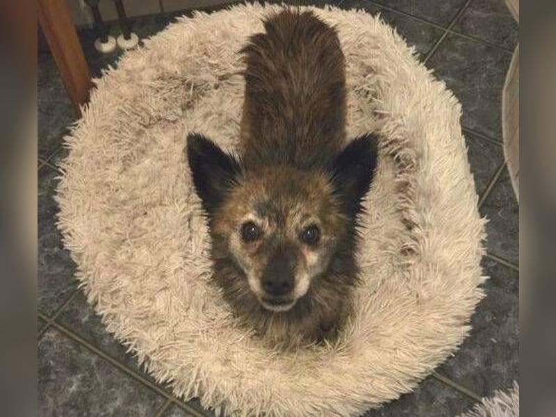 JULE  sucht ihre Familie