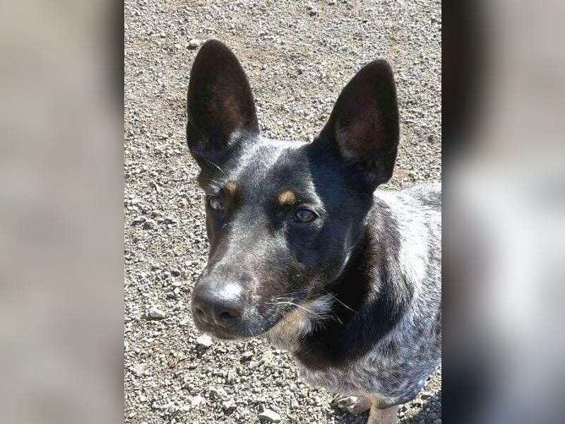 MIA ist eine Frohnatur