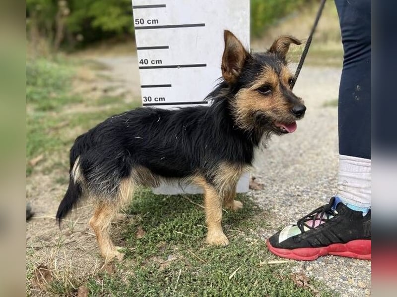 RAGNAR wurde erbarmungslos ausgesetzt