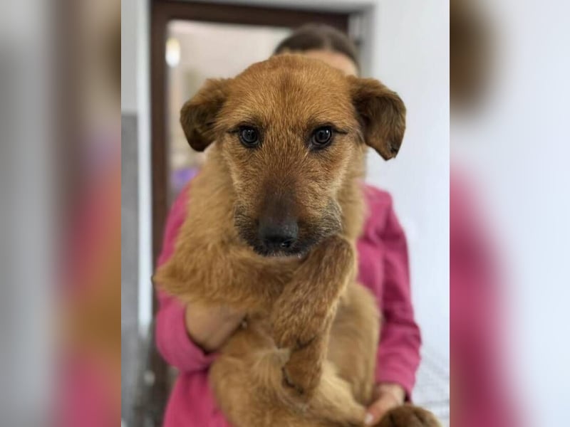 BILBO ist ❤️ allerliebst