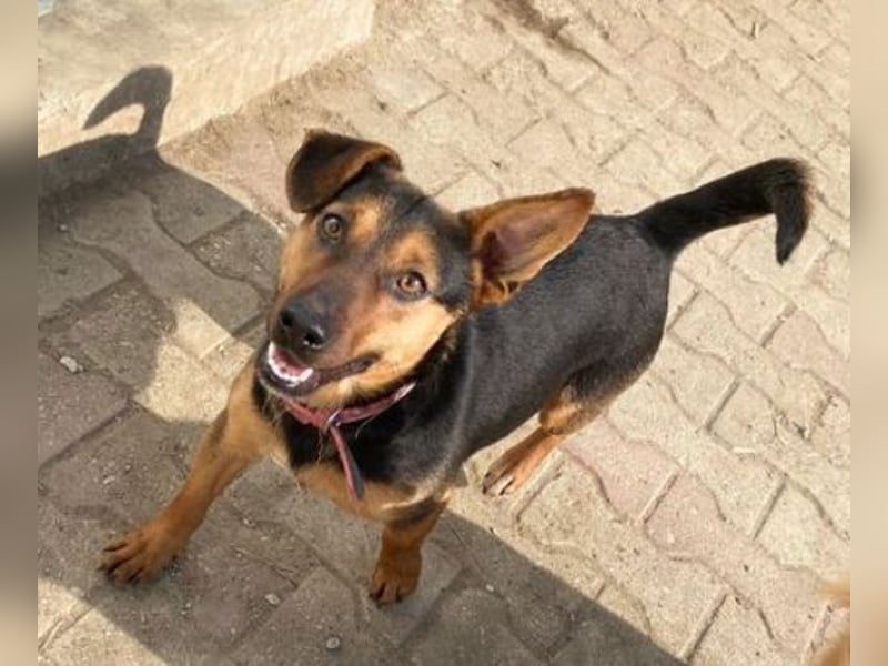 EMILY hatte ein entbehrungsreiches Leben