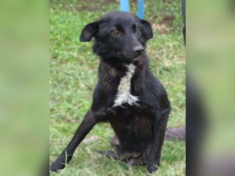 ENA wurde schwer verletzt liegen gelassen