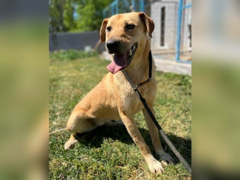 FINA muss an einem trostlosen Shelter leben