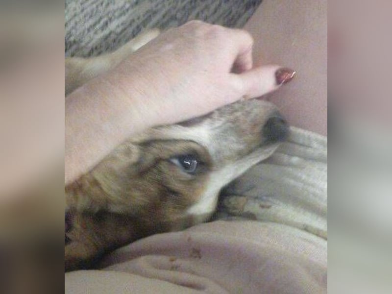 HUGO wurde allein zurück gelassen