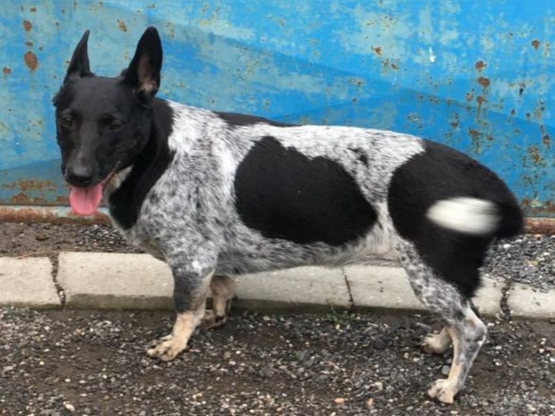 MIA ist eine Frohnatur