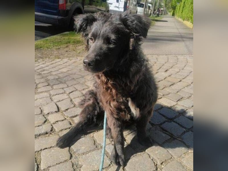 LOCCO ist ein niedliches Kerlchen