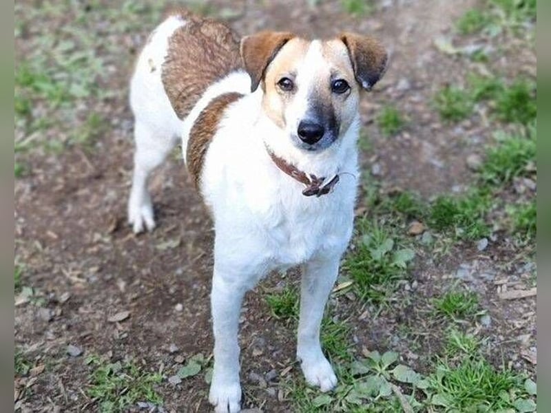 MIRKA liebt streicheln