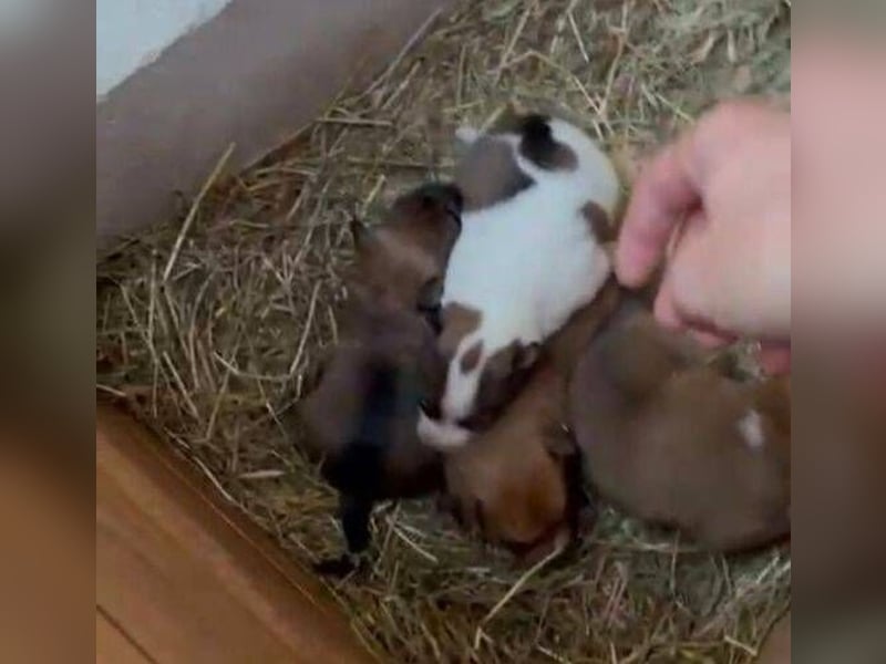 CINDY musste sich ohne Hilfe durchschlagen