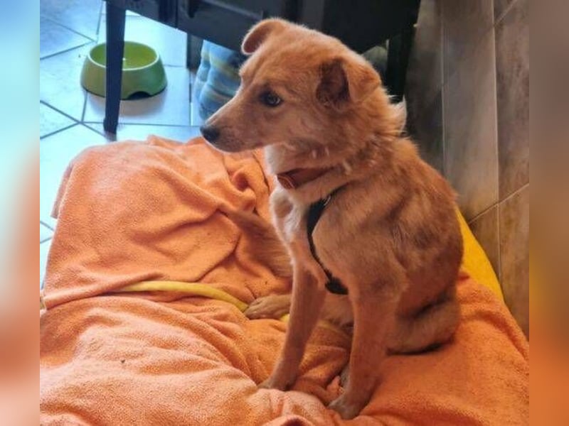 MEGGY ist zuckersüß