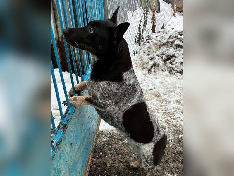 MIA ist eine Frohnatur