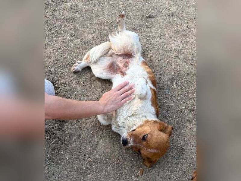 TRUFFELS wem darf sie ihr großes ❤️ schenken?