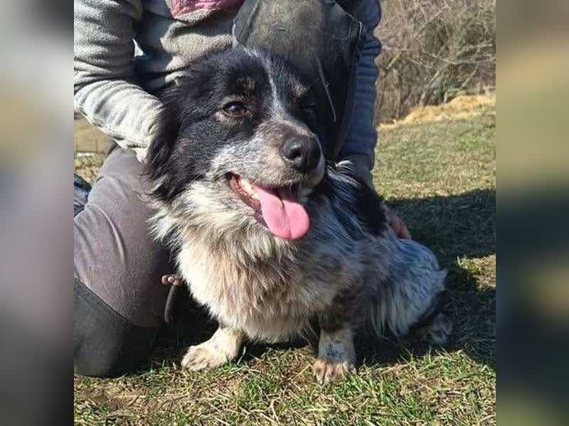 FLIPPERKA braucht ein liebevolles Zuhause