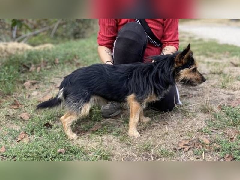 RAGNAR wurde erbarmungslos ausgesetzt