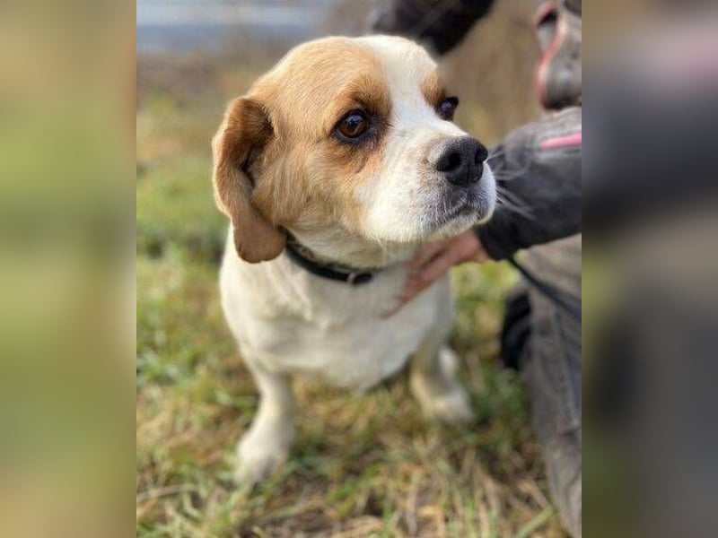 BODRI ist eine ganz sanfte Seele