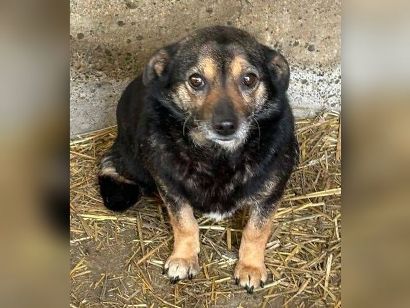BERTHA ihr Leben soll sich zum Guten wenden