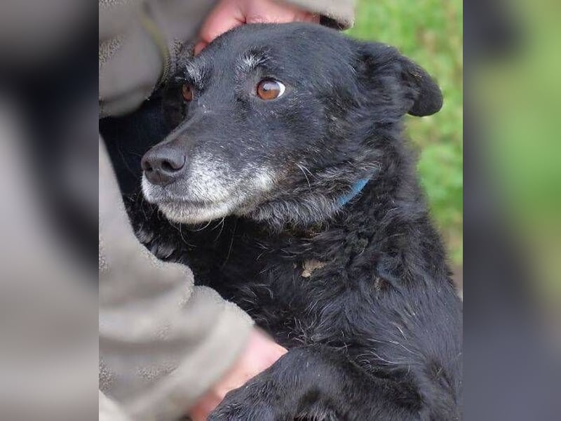 NELLA ist liebevoll und sanft