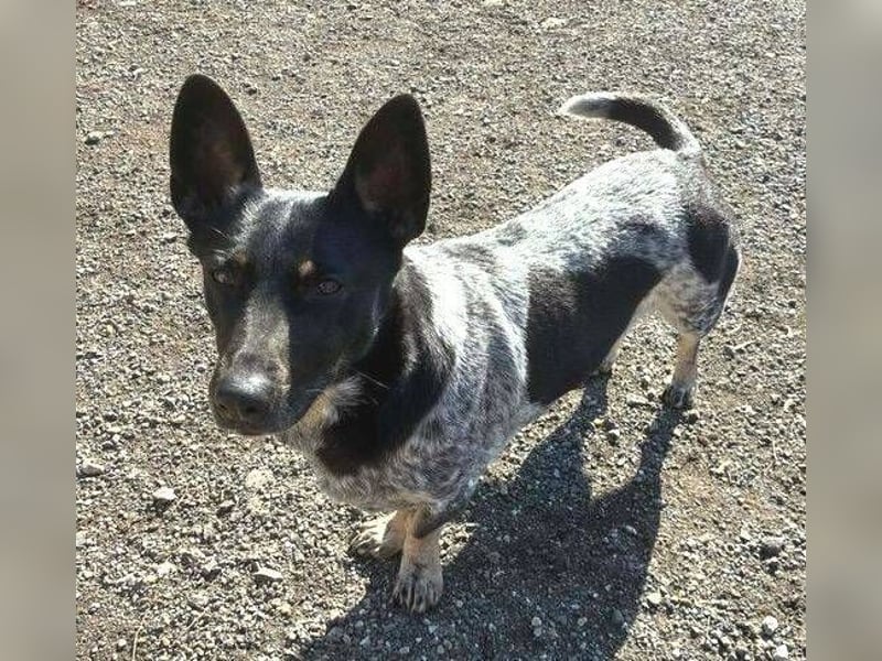 MIA ist eine Frohnatur