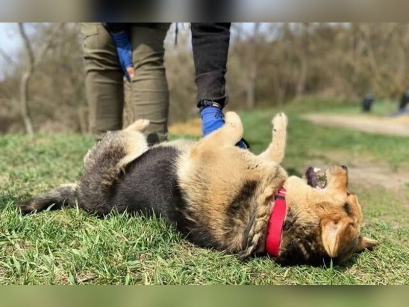 NESSY hofft so sehr auf einen Neuanfang