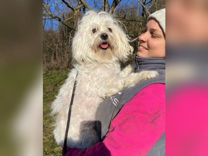 PEGGY 2 kleines Wuschelchen