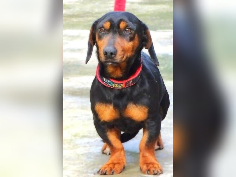 JACK braucht Lebensretter