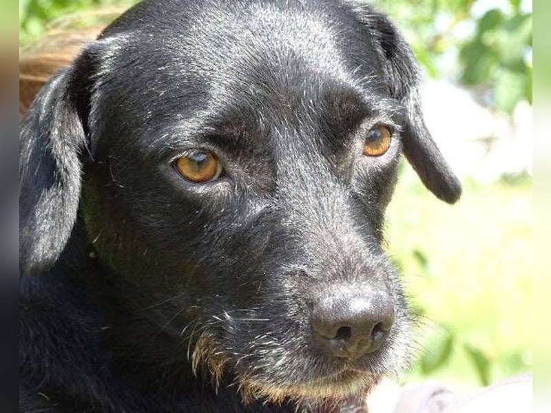 MONA ist ein Goldschatz