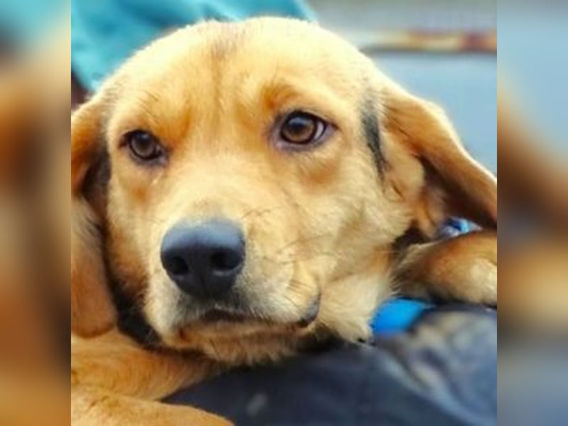 NICKY ist eine absolute Bereicherung