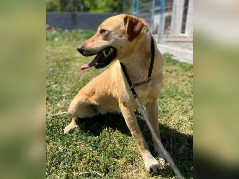 FINA muss an einem trostlosen Shelter leben