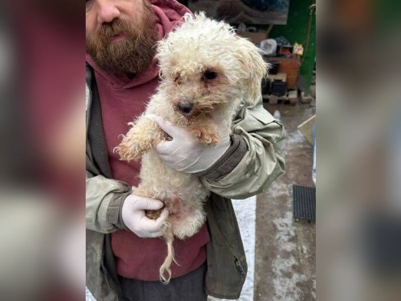 SNOW wurde herzlos entsorgt