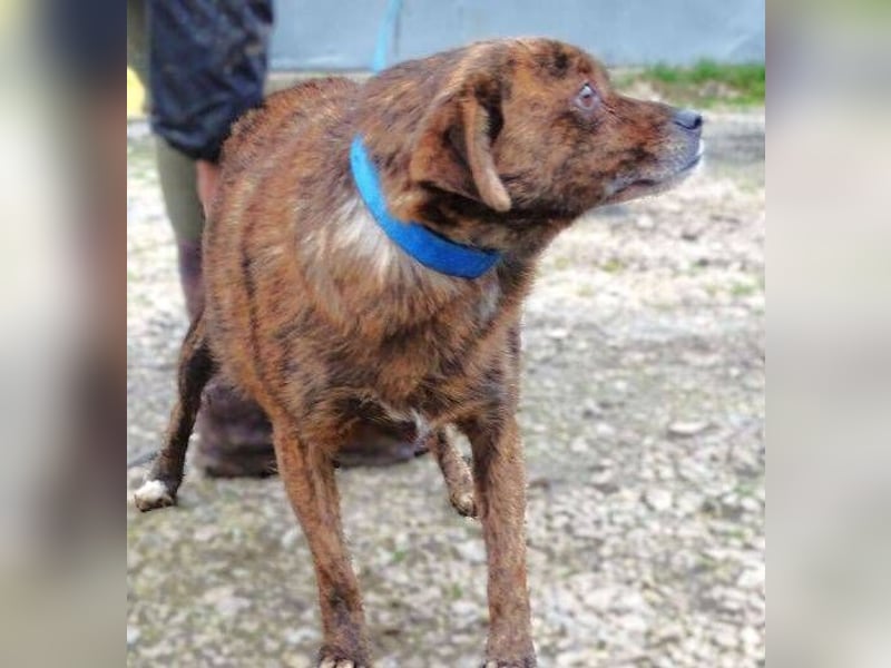 HOLLY ist zuckersüß und lieb