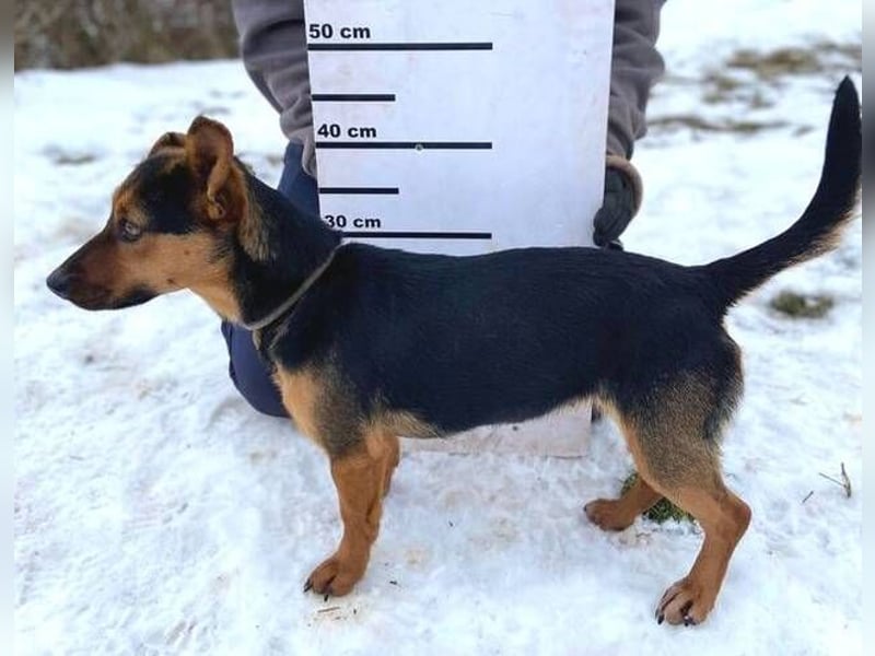 EMILY hatte ein entbehrungsreiches Leben