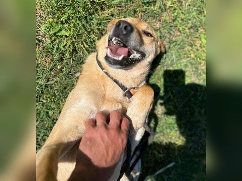 FINA muss an einem trostlosen Shelter leben